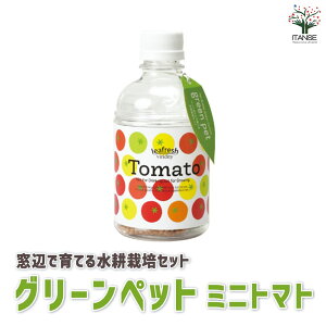 yz~jg}g ӂňĂO[ybgxW  ؕc c  ȒP ͔| x_ T_ Mtg mini tomato  [