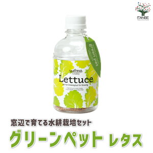 yz^X ӂňĂO[ybgxW  ؕc c  ȒP ͔| x_ T_ Mtg v[g  Ε  ӏ  [