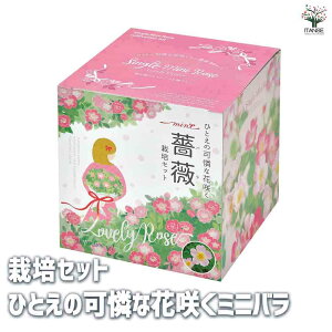 yz͔|Zbg ЂƂ̉ȉԍ炭~jo ԕc ȒPLbg ͔|Lbg yK[fjO  [