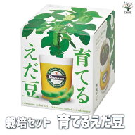 【マラソン★P5倍】栽培セット 育てるえだ豆 野菜の苗 簡単キット 栽培キット お手軽ガーデニング 送料無…