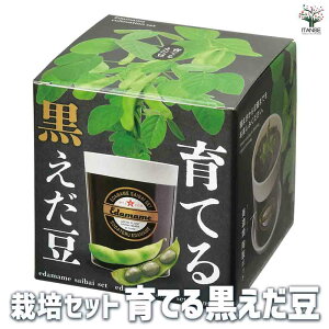 【送料無料】栽培セット 育てる黒えだ豆 野菜の苗 簡単キット 栽培キット お手軽ガーデニング 送料無料 即納