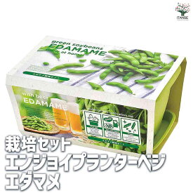 【SS期間★ポイントUP】栽培セット エンジョイプランターベジ エダマメ【野菜の苗 】簡単キット 栽培キット お手軽ガーデニング