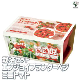 【送料無料】栽培セット エンジョイプランターベジ ミニトマト 野菜の苗 簡単キット 栽培キット お手軽ガーデニング 送料無料 即納