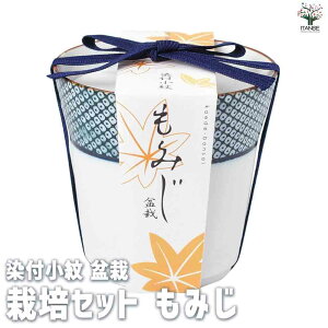 yz͔|Zbg t ~͍͔|Zbg ݂  ȒPLbg ͔|Lbg yK[fjO  [