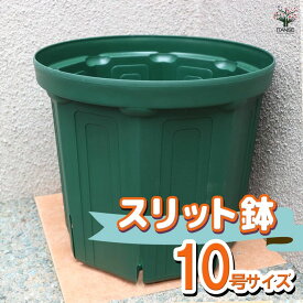 【送料無料】スリット鉢 10号鉢 すりっと鉢 植木鉢 野菜 果樹 観葉植物 花 草花 植木 栽培用 ポット プランター 育苗 根はり鉢 家庭菜園 根腐れ 根腐れ防止 根腐れを防ぐ 根張り サークリング 園芸 人気鉢 プランター 送料無料 即納