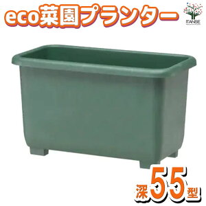 【送料無料】eco菜園プランター鉢色:ダークグリーン 資材 深55型 鉢 ポット プランター 菜園鉢 家庭菜園 ガーデニング 送料無料 即納