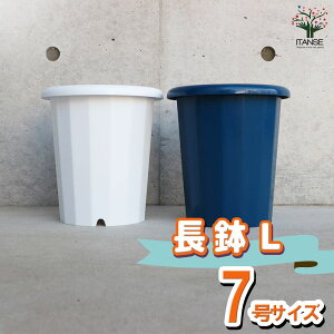 【マラソン期間★ポイント5倍】長鉢 資材 7号 長い鉢 深い鉢 深鉢 ポット プランター 菜園鉢 野菜用 野菜の鉢 やさい はち 植木鉢 送料無料 即納