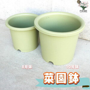 【マラソン期間★ポイント5倍】菜園鉢 色:グリーン 資材 鉢 ポット プランター 野菜用 野菜の鉢 やさい はち 植木鉢 送料無料 即納