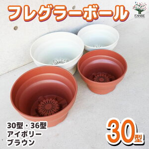 【マラソン期間★ポイント5倍】フレグラーボール 資材 30型 ポット プランター 菜園鉢 野菜用 野菜の鉢 やさい はち 植木鉢 送料無料 即納