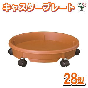 yzLX^[v[g FFuE  ƒ؉ K[fjO  [