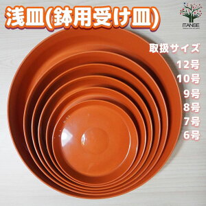 【送料無料】浅皿 ( 鉢用受け皿 ) 資材 鉢 受け皿 浅皿 水受け皿 鉢の皿 室内 屋内 観葉植物 観葉 花苗 皿 送料無料 即納