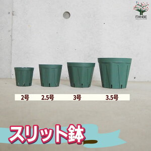 y}\ԁ|Cg5{zXbg 2`3.5  Zbg  Aؔ A Xbg Εsv r ͂ ʋC v^[    [