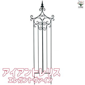 yzACAgX GKg@C  gX S  o KN oc KNc 鐫  [