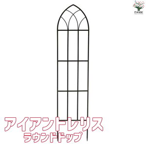 yzACAgX Ehgbv  gX S  o KN oc KNc 鐫  [