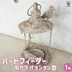 y}\ԁ|Cg5{zo[htB[_[ ݂艺^^ CeAG o[htB[_[  쒹  o[h GNXeA bird feeder a GT GT GT au 