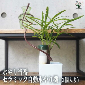 yz蓖 Z~bN@ ObY K[fjOObY |ObY  ͂h~ ؂ GR  [