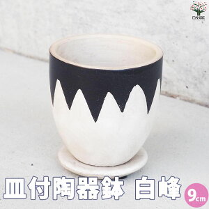 ySSԑSi10OFFzMt픫   9cm Aؔ  A v^[   󂯎M k  [