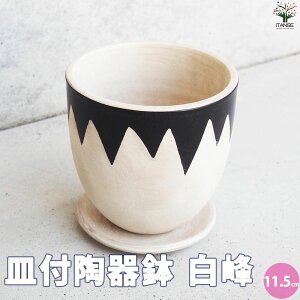 yzMt픫   11.5cm Aؔ  A v^[   󂯎M k  [