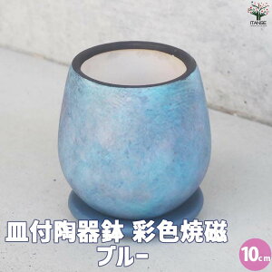 �y���������z�M�t���픫 �ʐF�Ď� �u���[ ���� 10cm �A�ؔ� �� ���A�� �v�����^�[ ���� ������� ���󂯎M �k�� �Ď� �������� ���[