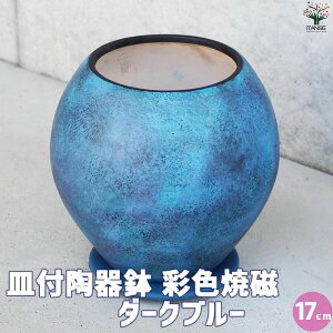 ySSԑSi10OFFzMt픫 ʐFĎ u[  17cm Aؔ  A v^[   󂯎M k Ď  [