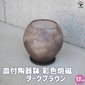 ySSԑSi10OFFzMt픫 ʐFĎ _[NuE  17cm Aؔ  A v^[   󂯎M k Ď  [