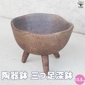 yz픫 O[  13.5cm Aؔ  A v^[   k _ i`  [