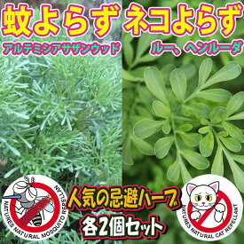 楽天市場 猫 よ け ハーブの通販