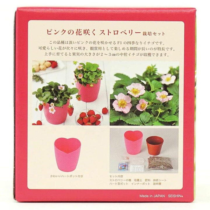 楽天市場 送料無料 ピンクの花咲くストロベリー栽培セット 栽培キット 1個 四季なりイチゴ 四季成りいちご 簡単栽培キット セット販売 セット商品 家庭菜園 ガーデニング プランター ポット 鑑賞 培養土 プレゼント ギフト 贈答 母の日 父の日 インテリア 聖新陶芸