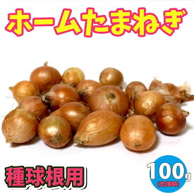 楽天市場 ホーム玉ねぎの通販