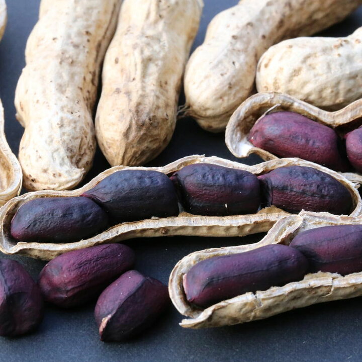 楽天市場 送料無料 落花生の苗 シロンスの黒いピーナッツ 野菜苗 9cmポット実生苗 2個セット 落花生苗 らっかせい苗 ピーナッツ苗 ぴーなっつ豆 黒いピーナッツ 黒落花生 ガーデニング 家庭菜園 ベランダ 露地栽培 簡単栽培 庭植え プランター ベランダ菜園 植物 楽天市場 送料無料 落花生の苗 シロンスの黒いピーナッツ 野菜苗 9cmポット実生苗 2個セット 落花生苗 らっかせい苗 ピーナッツ苗 ぴーなっつ豆 黒いピーナッツ 黒落花生 ガーデニング 家庭菜園 ベランダ 露地栽培 簡単栽培 庭植え プランター ベランダ菜園 植物