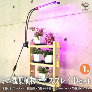 yz~jϗtAfBXvC&I t ؐуbNDZbg ( ~jϗt4t 琬Cgt )  1 fBXvC I ϗt bN  [