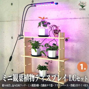 �y���������z�~�j�ϗt�A���f�B�X�v���C&����I �H��قڂ��炸!�g�ݖ؍������ݔ��؃��b�N LC�Z�b�g ���� 1���� �f�B�X�v���C �I �ϗt ���b�N �������� ���[