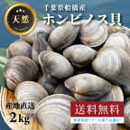 2kg 千葉県船橋産ホンビノス貝【漁師直送】【送料無料】バーベキューに！★高評価獲れたて新鮮！（三番瀬）★お酒のおつまみ！