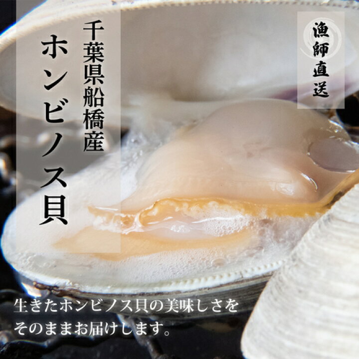 楽天市場】【10%OFF】2kg 【漁師直送】【送料無料】ご自宅でもバーベキューでも!☆高評価獲れたて新鮮!千葉県船橋産ホンビノス貝(三番瀬)☆お酒の おつまみ! : Forest Land 楽天市場】【10%OFF】2kg 【漁師直送】【送料無料】ご自宅でもバーベキューでも!☆高評価獲れたて新鮮!千葉県船橋産ホンビノス貝(三番瀬)☆お酒の おつまみ! : Forest Land