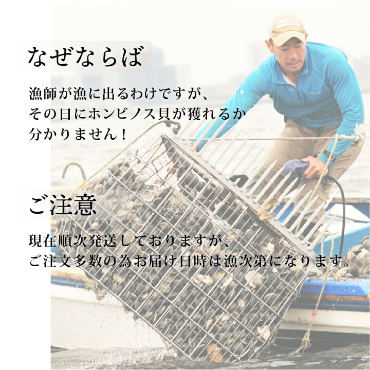 楽天市場】【10%OFF】2kg 【漁師直送】【送料無料】ご自宅でもバーベキューでも!☆高評価獲れたて新鮮!千葉県船橋産ホンビノス貝(三番瀬)☆お酒の おつまみ! : Forest Land 楽天市場】【10%OFF】2kg 【漁師直送】【送料無料】ご自宅でもバーベキューでも!☆高評価獲れたて新鮮!千葉県船橋産ホンビノス貝(三番瀬)☆お酒の おつまみ! : Forest Land