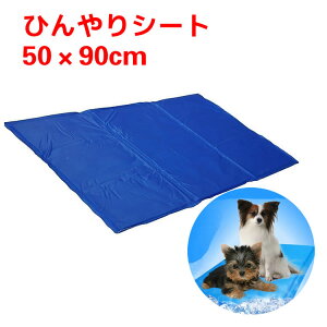 ybgЂV[g ybgN[}bg L  N[[  ΍ ObY ybg Ђ}bg N[WF}bg p}bg WF}bg ЂObY ₽pbh GRN[