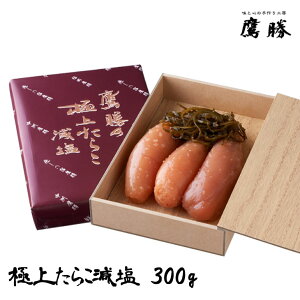 yΕ  Mtgzy炱 qz 鏟 ɏソ炱 300g  蕨  p ̓