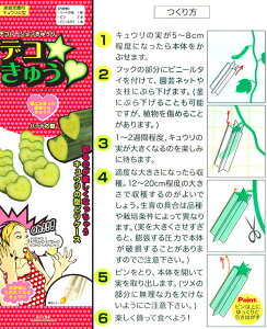 農業資材 ガーデニング用品 デコきゅうの人気商品 通販 価格比較 価格 Com 農業資材 ガーデニング用品 デコきゅうの人気商品 通販 価格比較 価格 Com