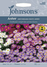 【種子】Johnsons Seeds Aster (MICHAELMAS DAISY) MIXED アスター (ミカエルマスデイジー) 　ミックス ジョンソンズシード
