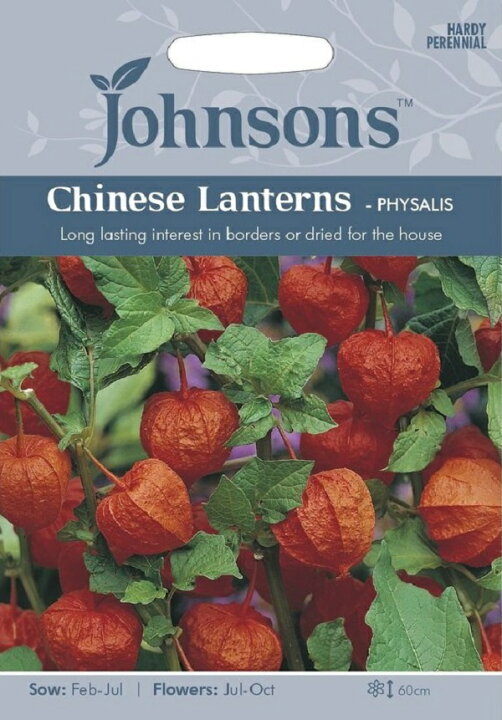 楽天市場 輸入種子 Johnsons Seeds Chinesse Lanterns Physalis チャイニーズ ランタン サイサリス ジョンソンズシード Ivy 楽天市場 輸入種子 Johnsons Seeds Chinesse Lanterns Physalis チャイニーズ ランタン サイサリス ジョンソンズシード Ivy