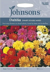 【種子】Johnsons Seeds Dahlia DWARF DOUBLE MIXED ダリア ドワーフ・ダブル・ミックス ジョンソンズシード