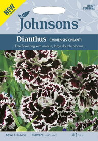 【種子】Johnsons Seeds DIANTHUS CHINENSIS CHIANTI ダイアンサス(なでしこ)チャイニエンシス・キャンティ ジョンソンズシード