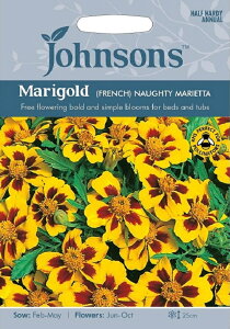 【種子】Johnsons Seeds Marigold (FRENCH) NAUGHTY MARIETTA マリーゴールド （フレンチ）ノーティー・マリエッタ ジョンソンズシード