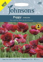 【種子】Johnsons Seeds Poppy PANDORA ポピー パンドラ ジョンソンズシード