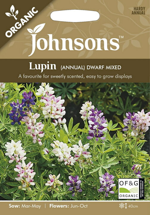 楽天市場 種子 Johnsons Seeds Organic Lupin Annual Dwarf Mixed オーガニック ルーピン アニュアル ドワーフミックス ジョンソンズシード Ivy