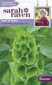 【種子】Johnsons Seeds Sarah Raven Cut flowers & gorgeous gardens Bells of Ireland サラ・レイブン・カットフラワーズ ベルズ・オブ・アイルランド ジョンソンズシード