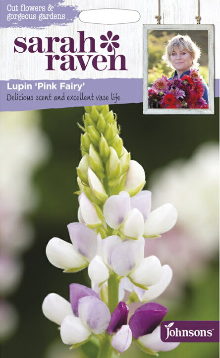 楽天市場 輸入種子 Johnsons Seeds Sarah Raven Cut Flowers Gorgeous Gardens Lupin Pink Fairy サラ レイブン カットフラワーズ ルーピン ピンク フェアリー ジョンソンズシード Ivy