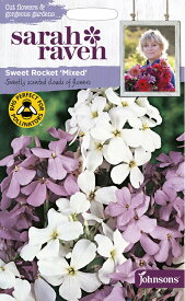 【種子】Johnsons Seeds Sarah Raven Cut flowers & gorgeous gardens Sweet Rocket Mixed サラ・レイブン カットフラワーズ スイート・ロケット・ミックス ジョンソンズシード