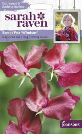 【種子】Johnsons Seeds Sarah Raven Cut flowers & gorgeous gardens Sweet Pea Windsor サラ・レイブン カットフラワーズ スイート・ピー ウインザー ジョンソンズシード