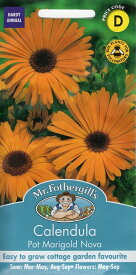 【種子】Mr.Fothergill's Seeds Calendula Pot Marigold Nova カレンデュラ（きんせんか） ポットマリーゴールド・ノヴァ ミスター・フォザーギルズシード